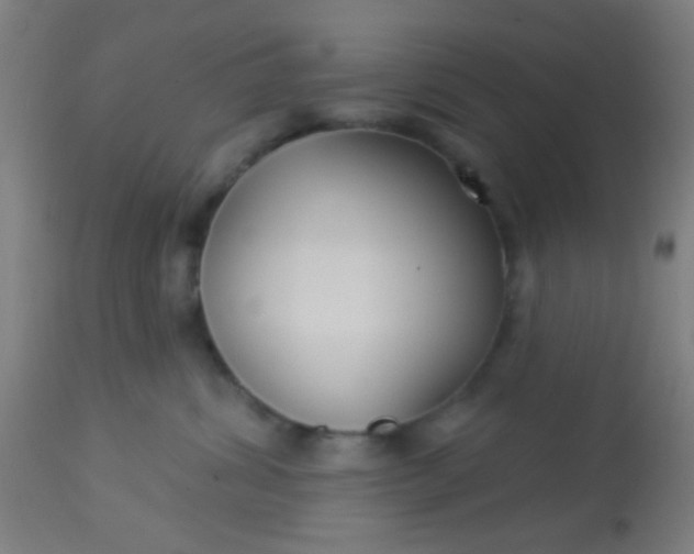 X0000114180428200910221717