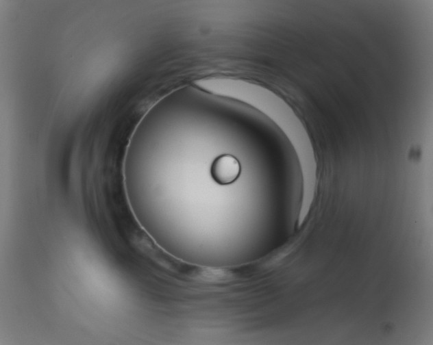 X0000114180429200910221717