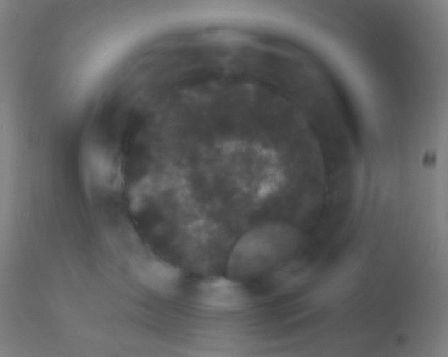 X0000114180431200910221717