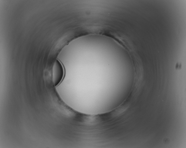 X0000114180432200910221717