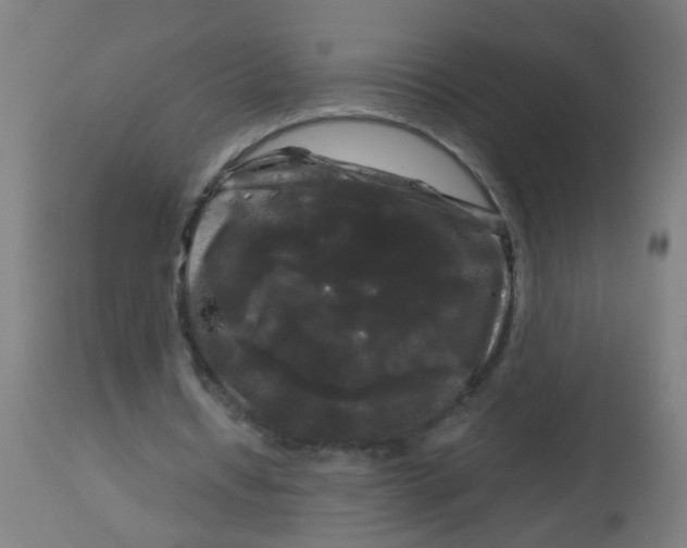 X0000114180434200910221717