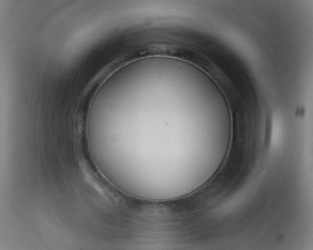 X0000114180435200910221717