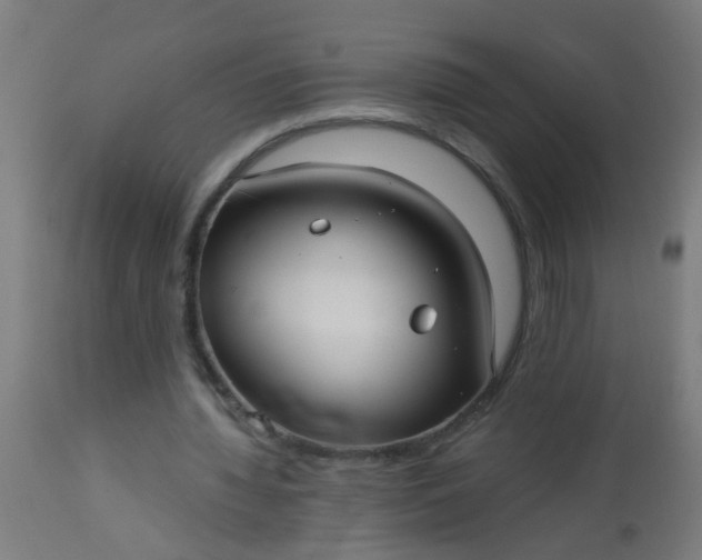 X0000114180436200910221717