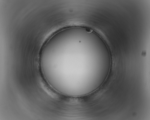 X0000114180439200910221717