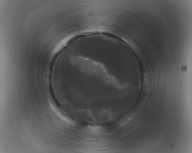 X0000114180440200910221717