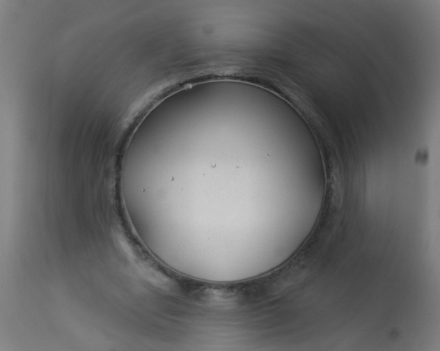 X0000114180442200910221717