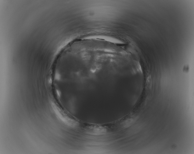 X0000114180443200910221717