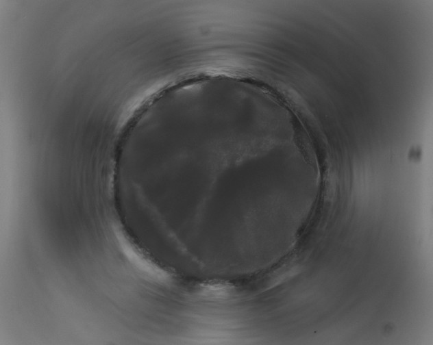 X0000114180446200910221717