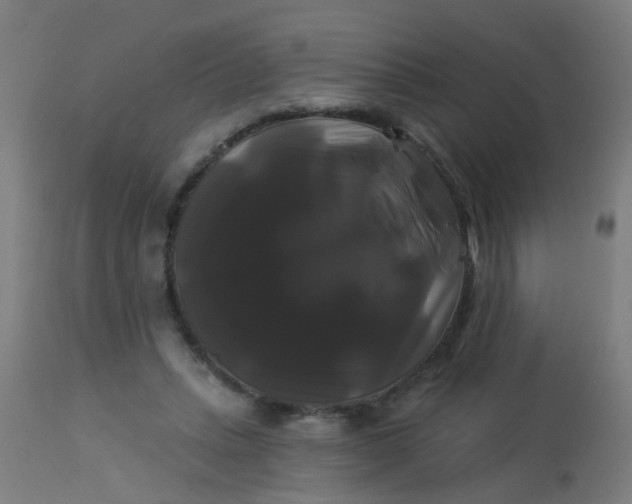 X0000114180447200910221717