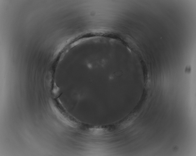 X0000114180448200910221717