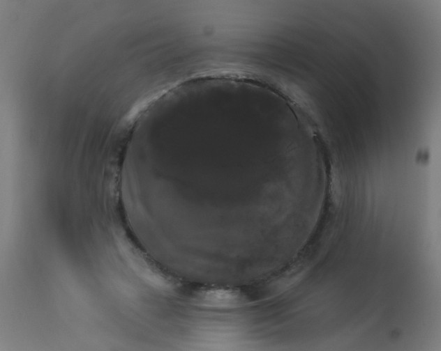 X0000114180449200910221717