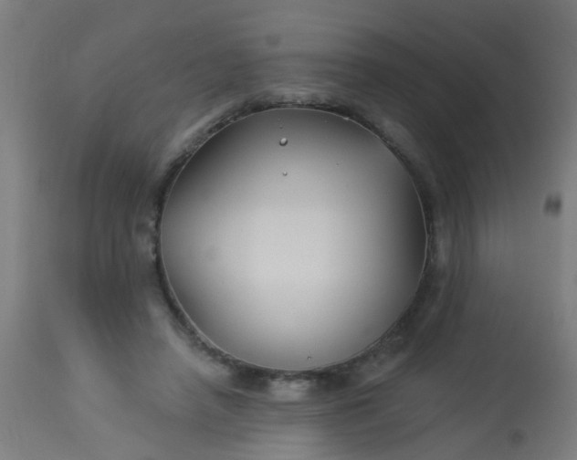 X0000114180450200910221717