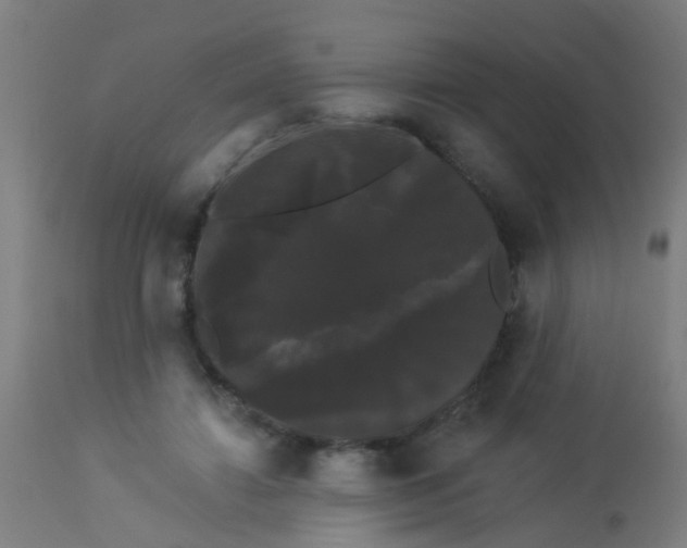 X0000114180452200910221717