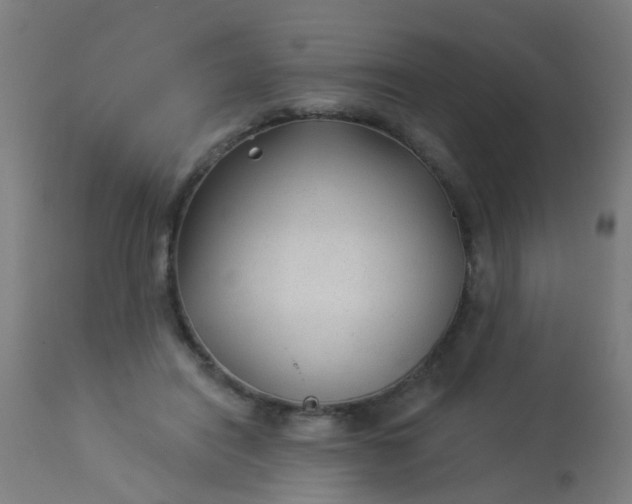 X0000114180454200910221717