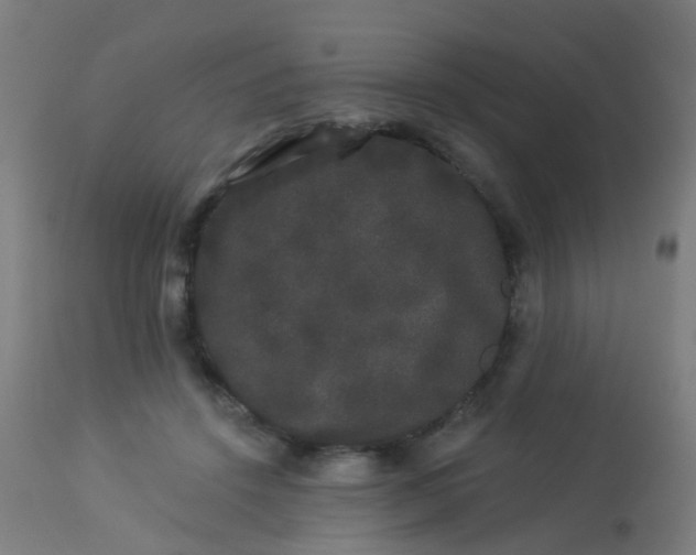 X0000114180456200910221717