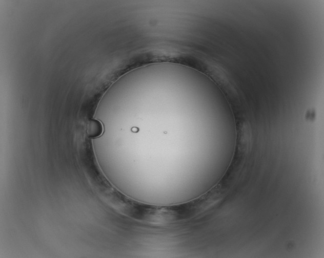 X0000114180463200910221717