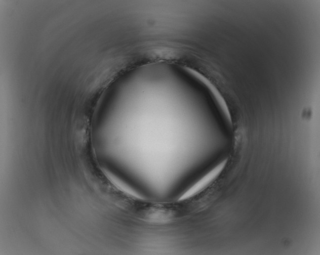 X0000114180464200910221717