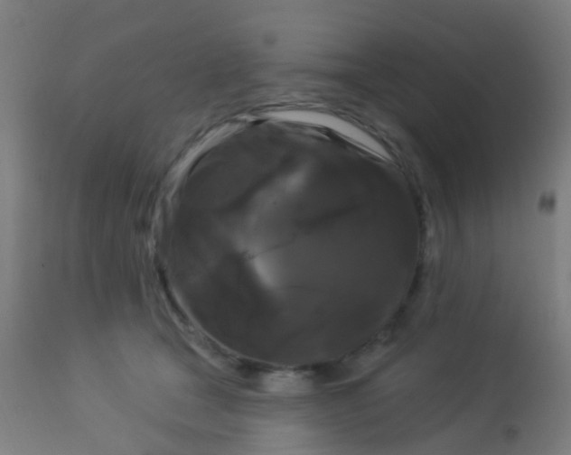 X0000114180465200910221717