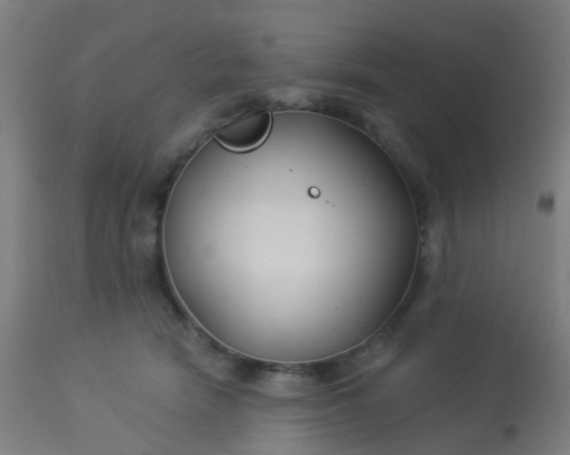 X0000114180466200910221717