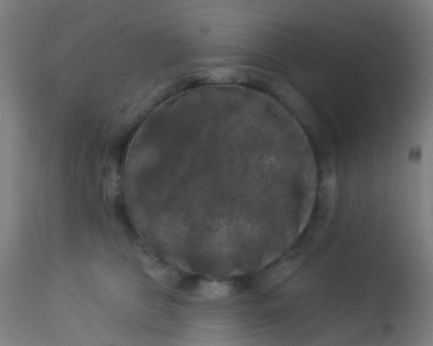 X0000114180469200910221717