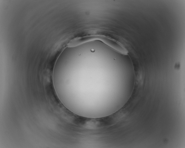 X0000114180470200910221717