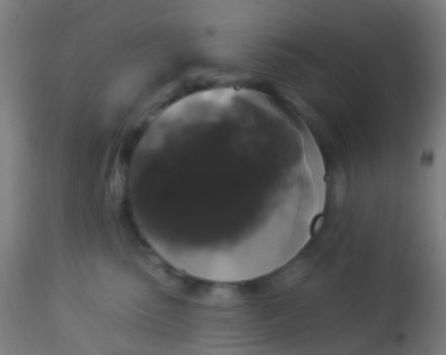 X0000114180475200910221717