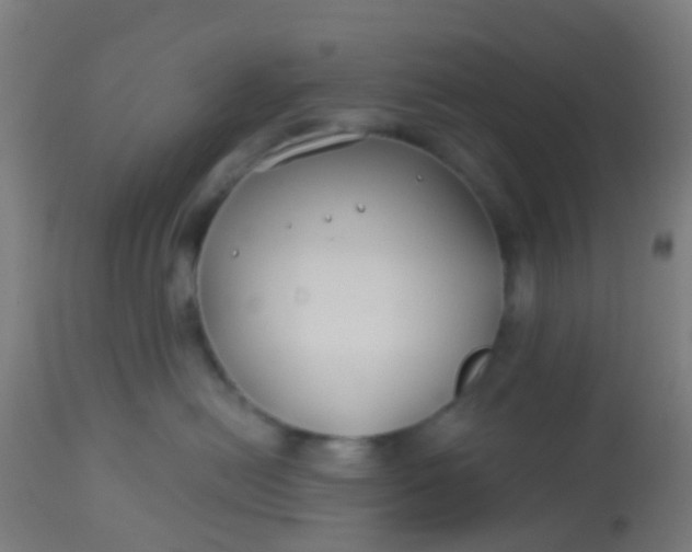 X0000114180478200910221717