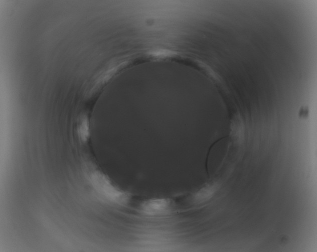 X0000114180479200910221717