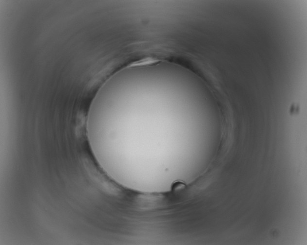 X0000114180480200910221717