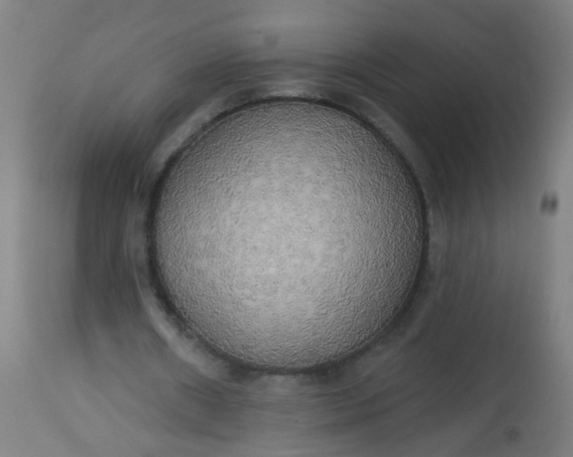 X0000114180482200910221717