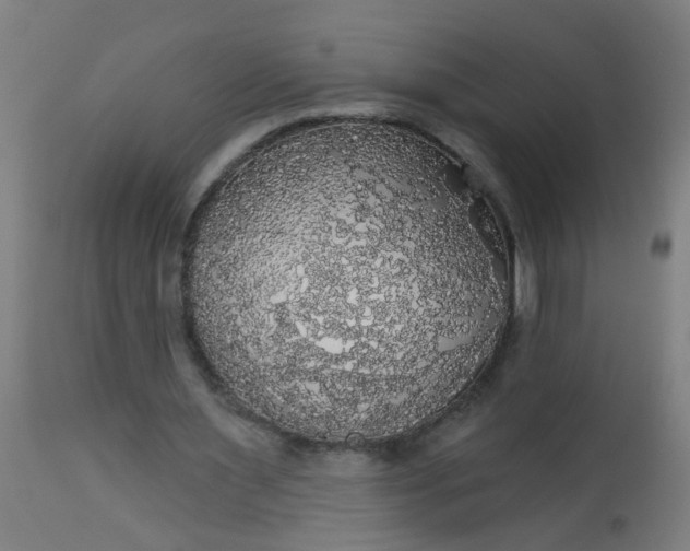 X0000114180483200910221716