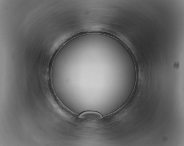 X0000114180485200910221716