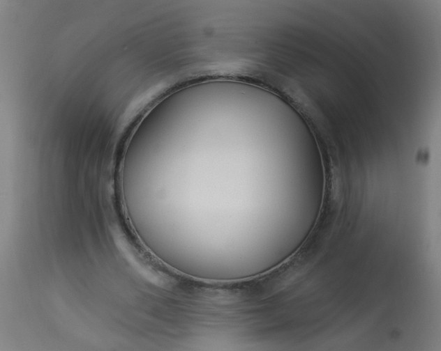 X0000114180486200910221716