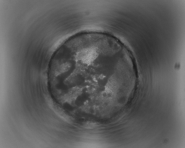 X0000114180487200910221716