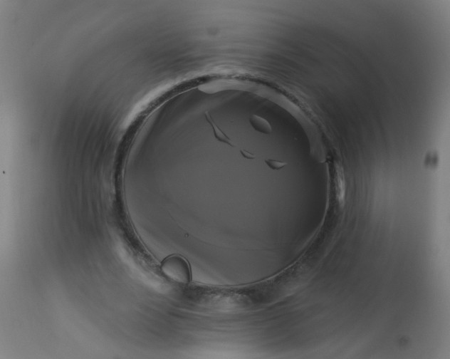 X0000114180488200910221716