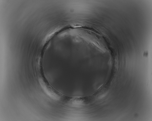 X0000114180491200910221716