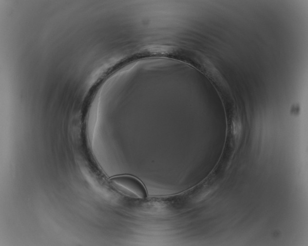 X0000114180492200910221716