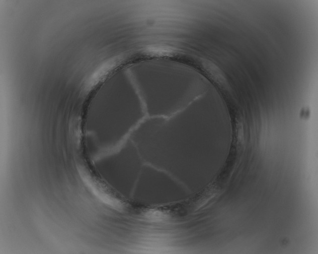 X0000114180494200910221716