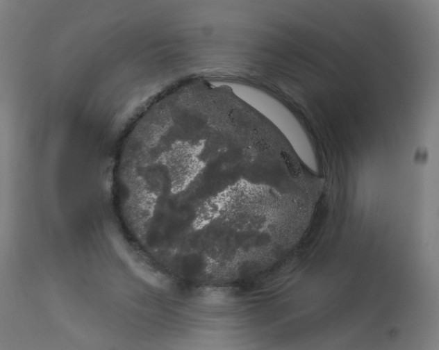 X0000114180495200910221716