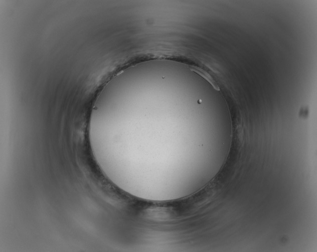 X0000114180499200910221716