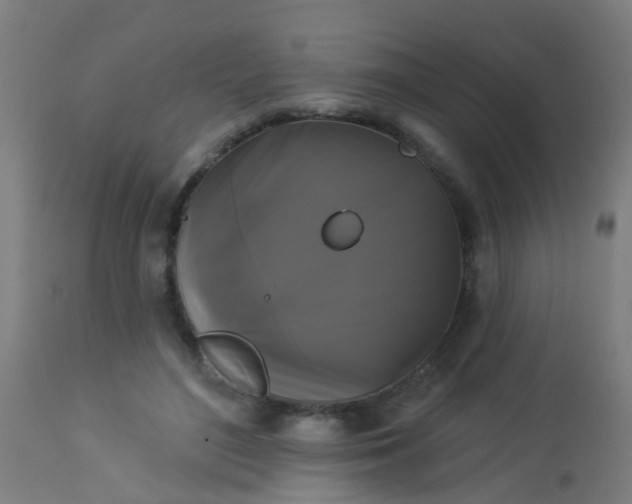 X0000114180500200910221716