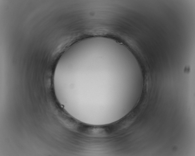 X0000114180501200910221716