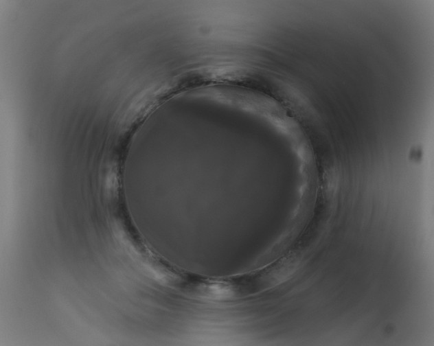 X0000114180506200910221716