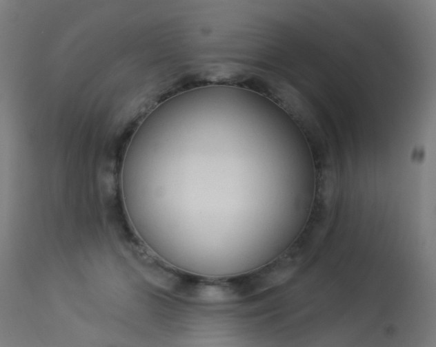 X0000114180510200910221716