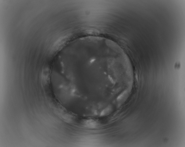 X0000114180511200910221716