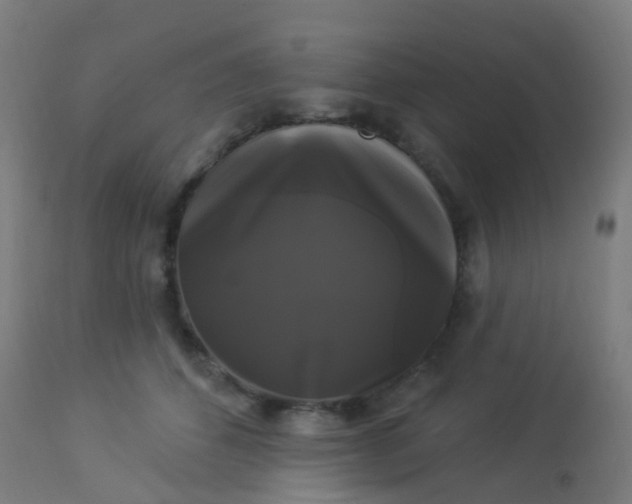 X0000114180512200910221716