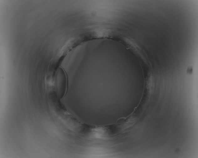 X0000114180516200910221716