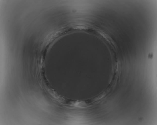 X0000114180517200910221716