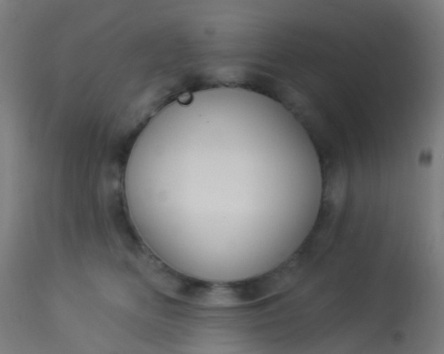 X0000114180518200910221716