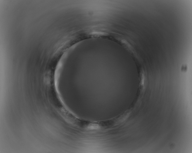 X0000114180519200910221716